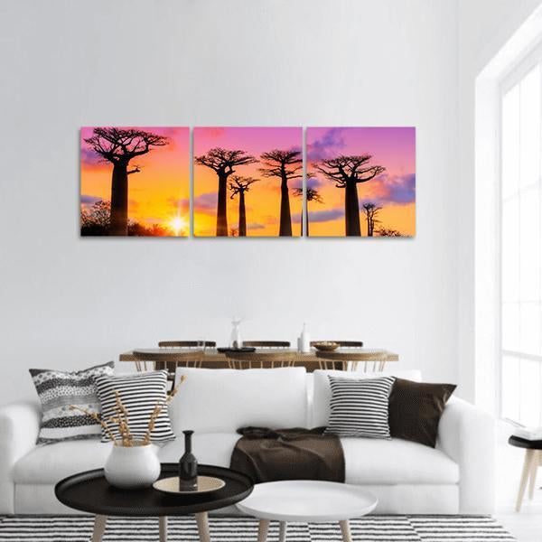 Baobab Trees At Sunset Panoramic Canvas Wall Art-3 Piece-25" x 08"-Tiaracle