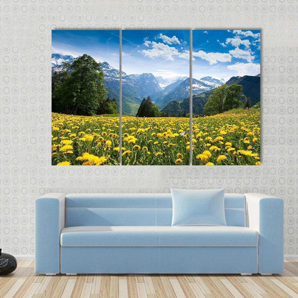 Blossoming Field Switzerland Canvas Wall Art-3 Horizontal-Gallery Wrap-37" x 24"-Tiaracle