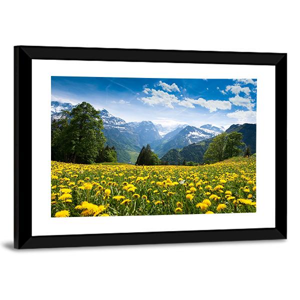 Blossoming Field Switzerland Canvas Wall Art-3 Horizontal-Gallery Wrap-25" x 16"-Tiaracle