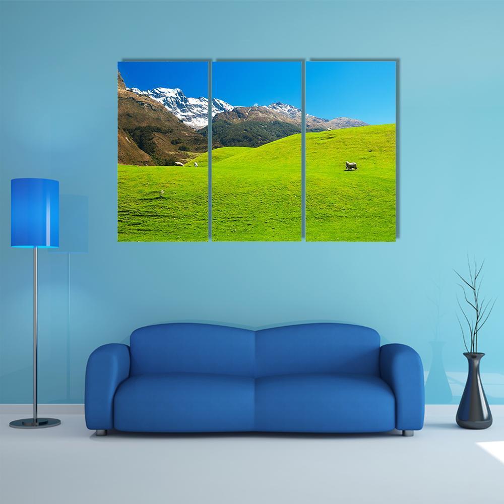 Landscape In New Zealand Canvas Wall Art-5 Pop-Gallery Wrap-47" x 32"-Tiaracle