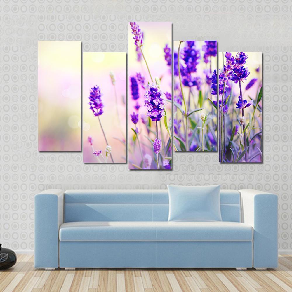 Beautiful Lavender Field Canvas Wall Art-5 Pop-Gallery Wrap-47" x 32"-Tiaracle