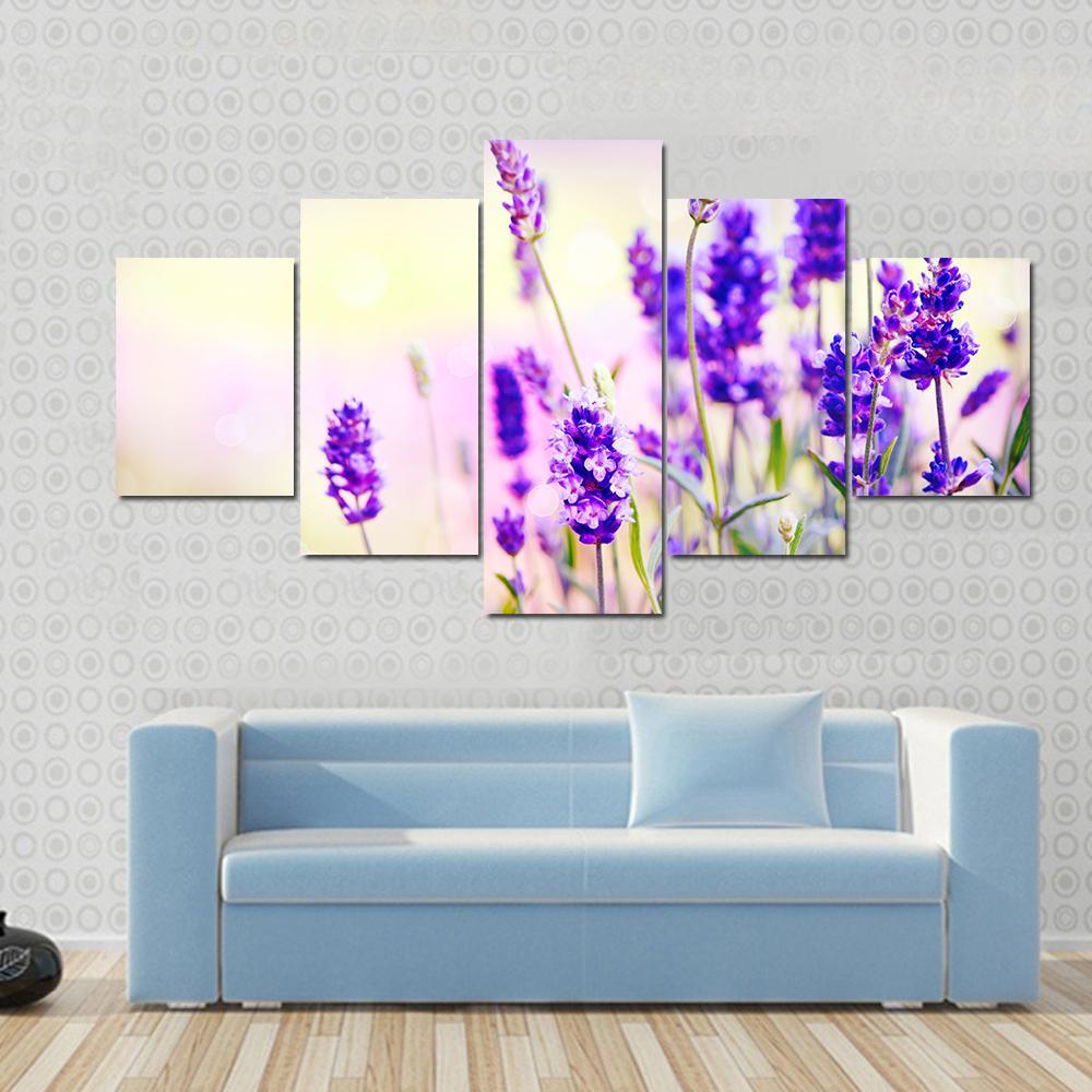 Beautiful Lavender Field Canvas Wall Art-5 Star-Gallery Wrap-62" x 32"-Tiaracle