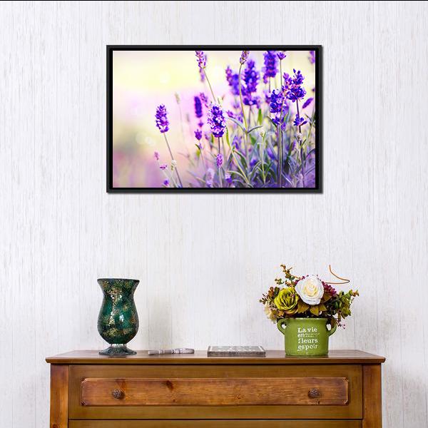 Beautiful Lavender Field Canvas Wall Art-1 Piece-Floating Frame-24" x 16"-Tiaracle