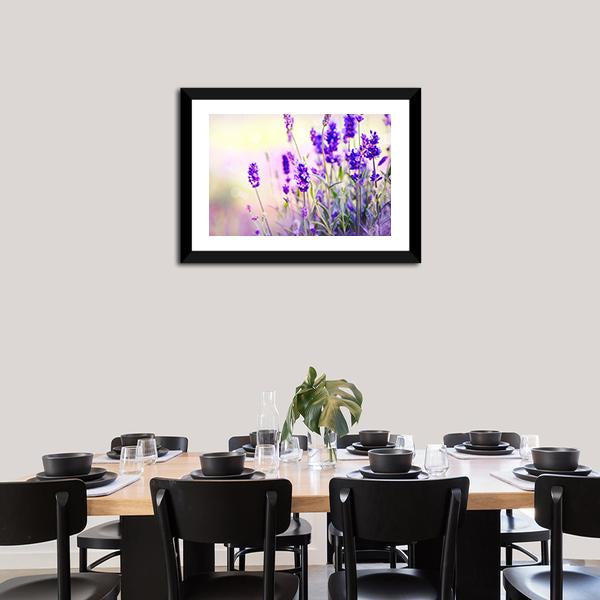 Beautiful Lavender Field Canvas Wall Art-3 Horizontal-Gallery Wrap-25" x 16"-Tiaracle