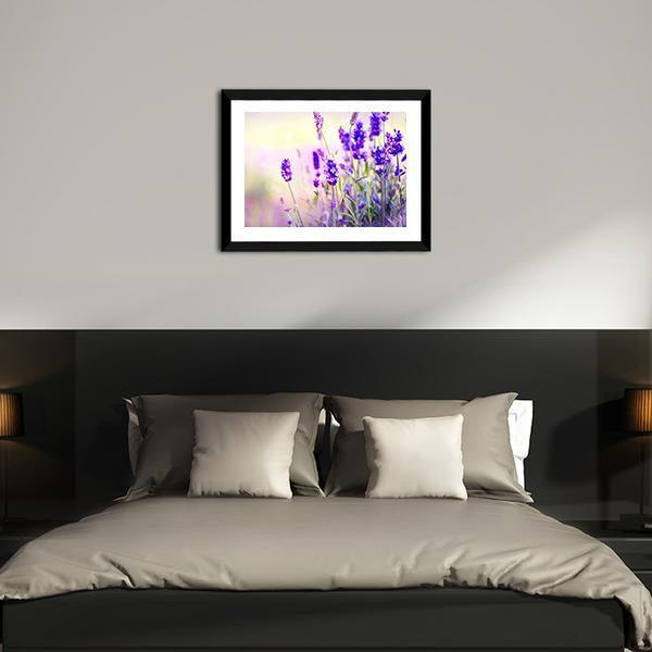 Beautiful Lavender Field Canvas Wall Art-3 Horizontal-Gallery Wrap-25" x 16"-Tiaracle