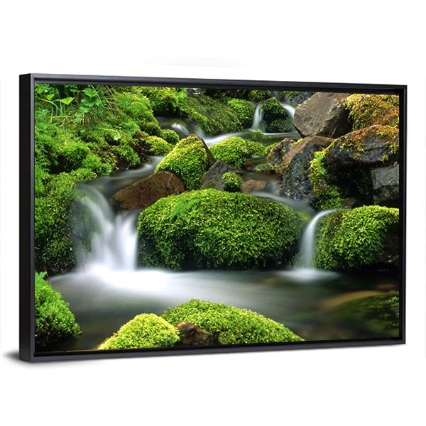 Beautiful Mountain Stream Canvas Wall Art-1 Piece-Floating Frame-36" x 24"-Tiaracle
