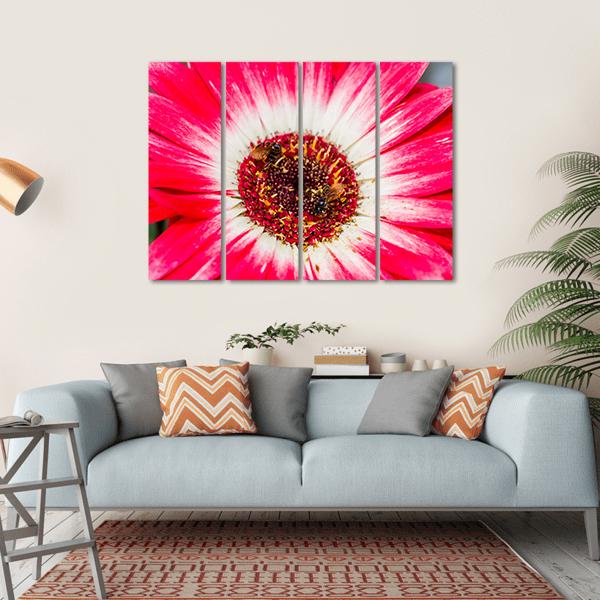 Beautiful Spring Flower Canvas Wall Art-4 Horizontal-Gallery Wrap-34" x 24"-Tiaracle