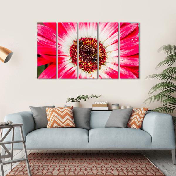Beautiful Spring Flower Canvas Wall Art-5 Horizontal-Gallery Wrap-22" x 12"-Tiaracle