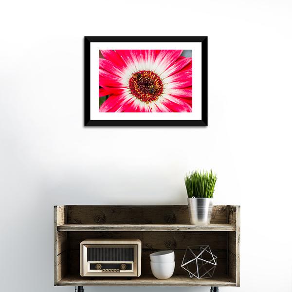 Beautiful Spring Flower Canvas Wall Art-3 Horizontal-Gallery Wrap-25" x 16"-Tiaracle