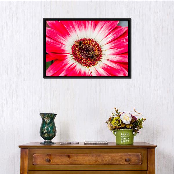 Beautiful Spring Flower Canvas Wall Art-3 Horizontal-Gallery Wrap-25" x 16"-Tiaracle