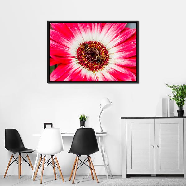 Beautiful Spring Flower Canvas Wall Art-3 Horizontal-Gallery Wrap-25" x 16"-Tiaracle