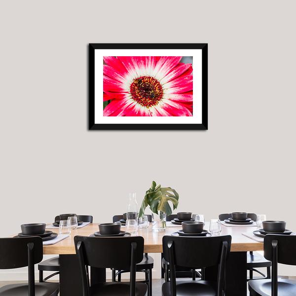 Beautiful Spring Flower Canvas Wall Art-3 Horizontal-Gallery Wrap-25" x 16"-Tiaracle