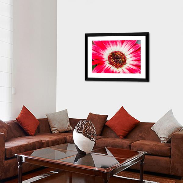 Beautiful Spring Flower Canvas Wall Art-3 Horizontal-Gallery Wrap-25" x 16"-Tiaracle