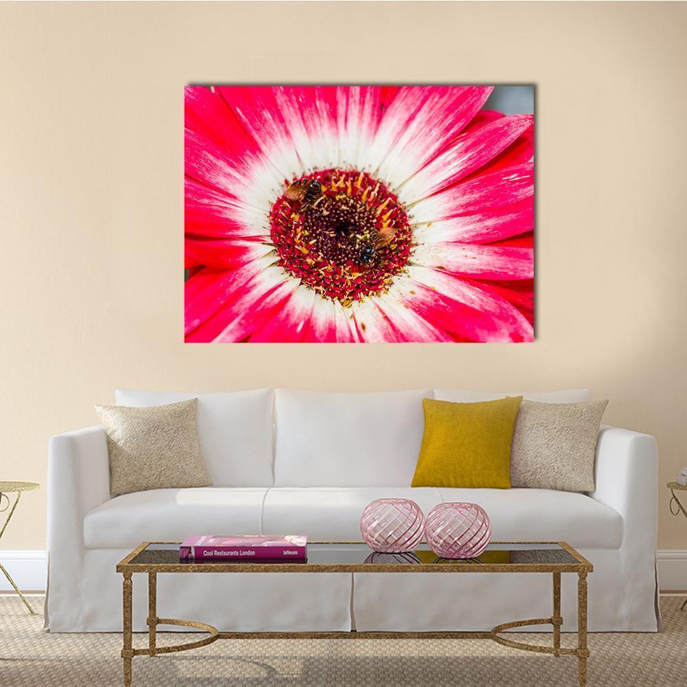 Beautiful Spring Flower Canvas Wall Art-5 Star-Gallery Wrap-62" x 32"-Tiaracle