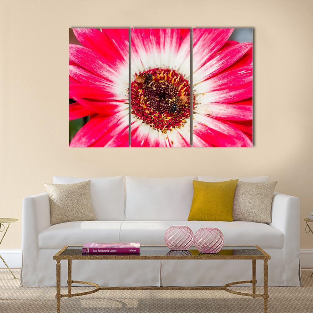 Beautiful Spring Flower Canvas Wall Art-3 Horizontal-Gallery Wrap-37" x 24"-Tiaracle