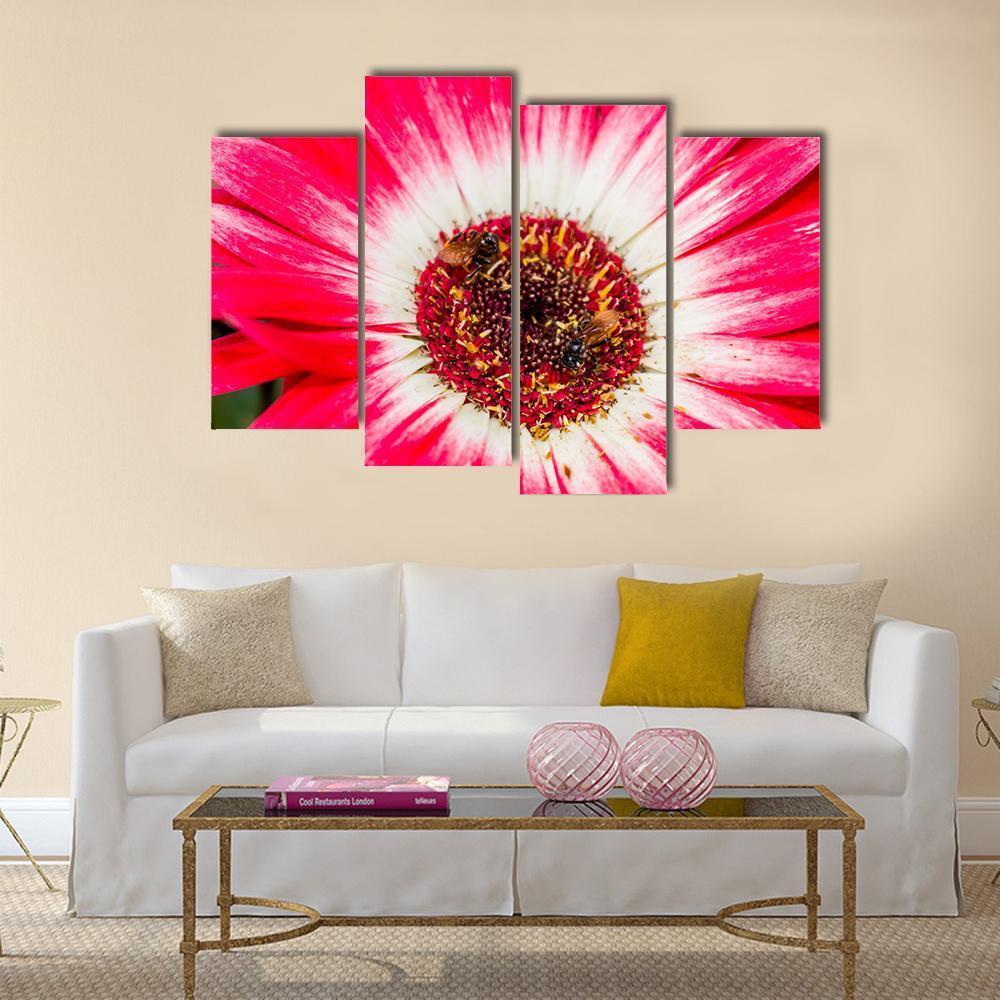 Beautiful Spring Flower Canvas Wall Art-4 Pop-Gallery Wrap-50" x 32"-Tiaracle