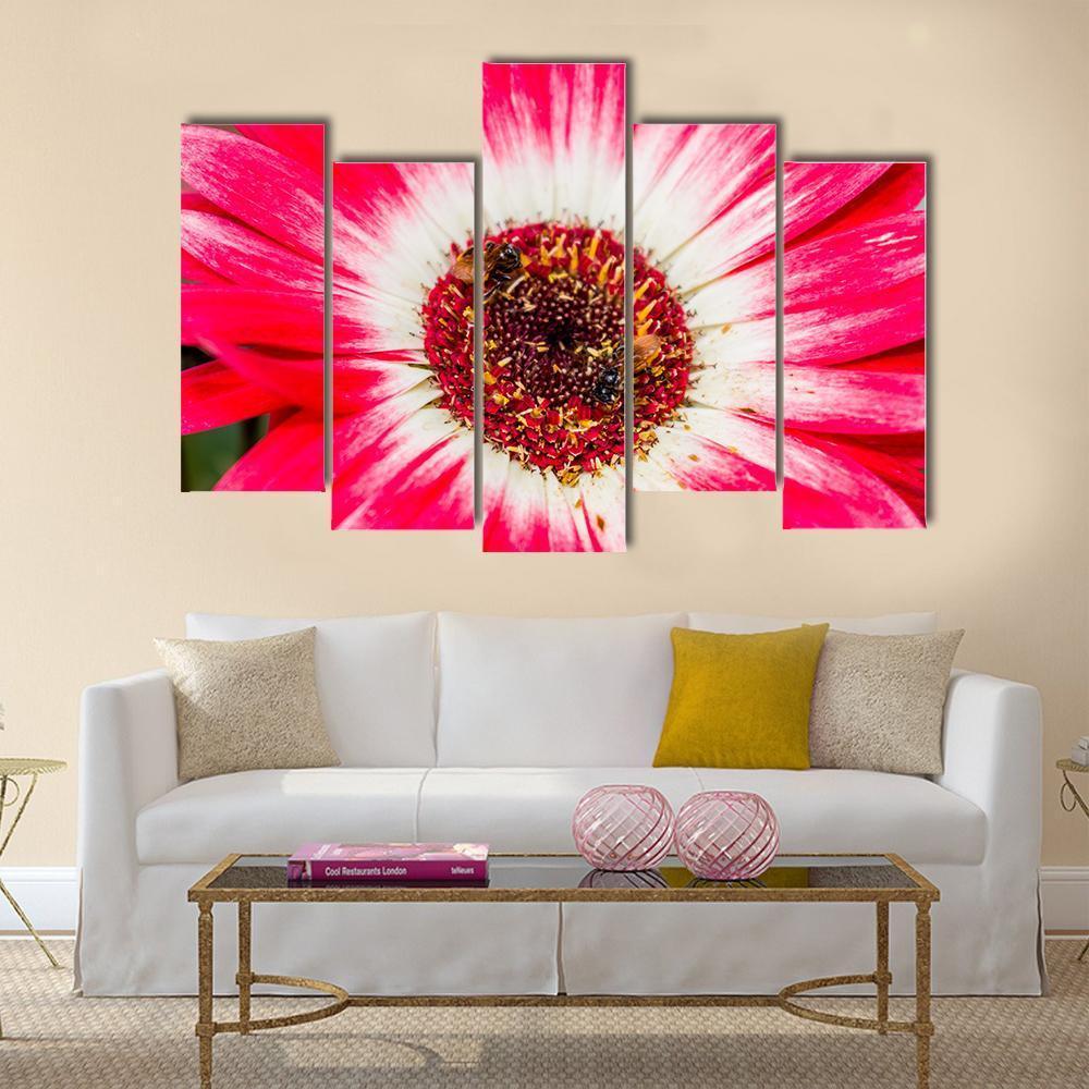 Beautiful Spring Flower Canvas Wall Art-5 Pop-Gallery Wrap-47" x 32"-Tiaracle
