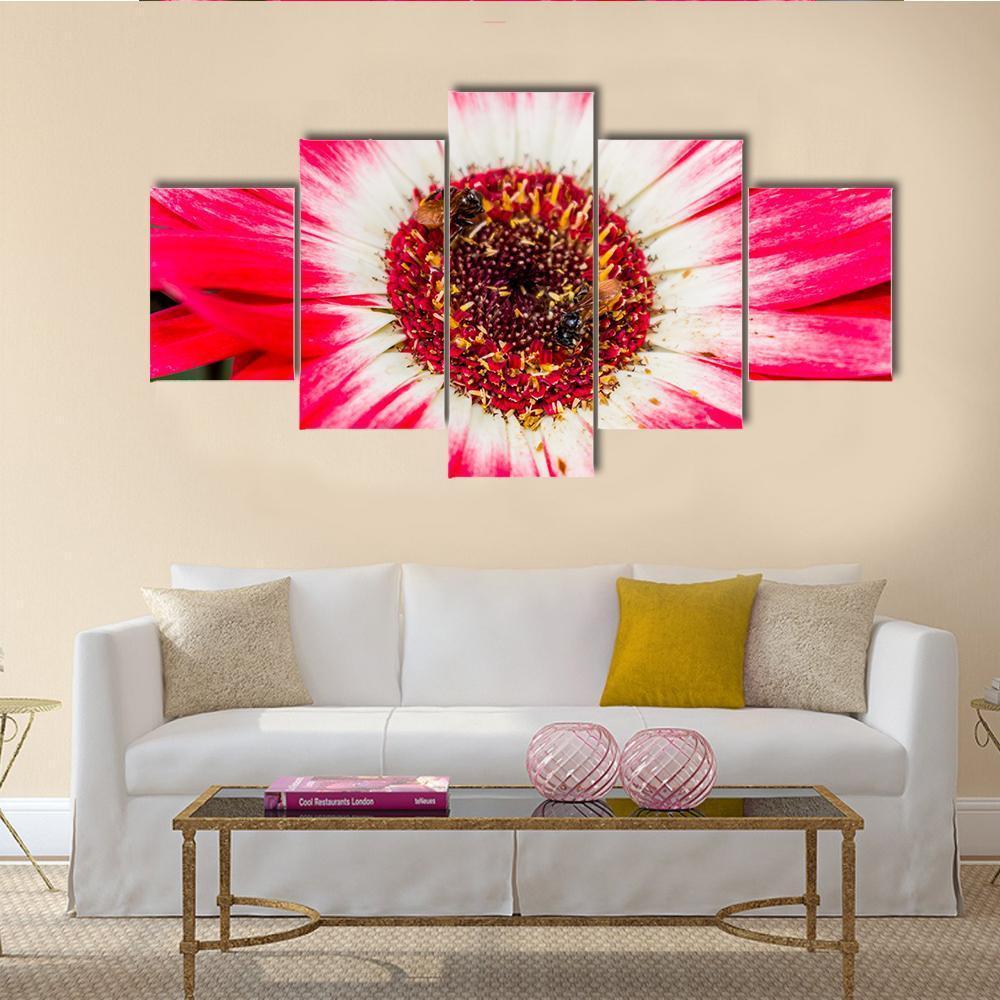 Beautiful Spring Flower Canvas Wall Art-5 Star-Gallery Wrap-62" x 32"-Tiaracle