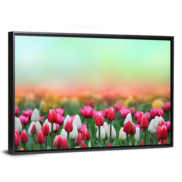 Beautiful Tulips Field Canvas Wall Art-5 Horizontal-Gallery Wrap-22" x 12"-Tiaracle