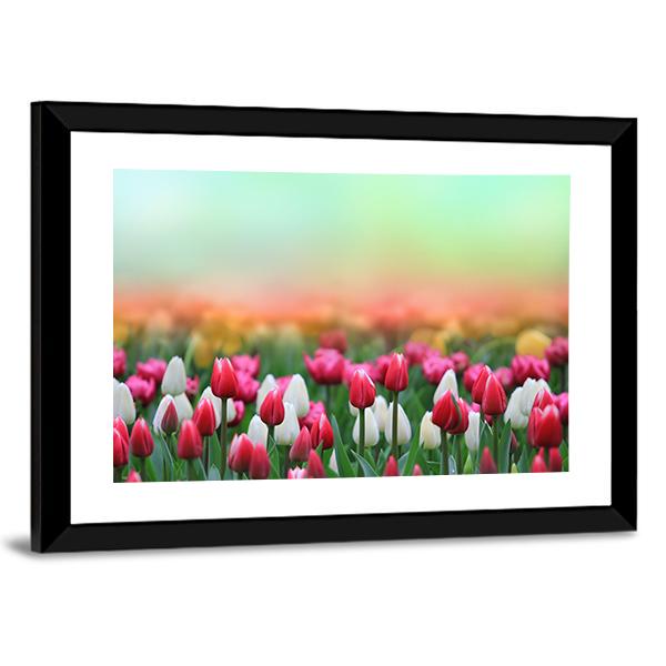 Beautiful Tulips Field Canvas Wall Art-5 Horizontal-Gallery Wrap-22" x 12"-Tiaracle