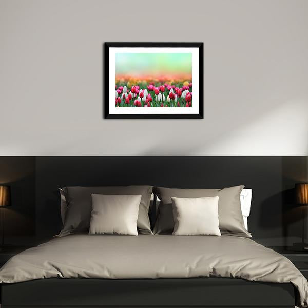 Beautiful Tulips Field Canvas Wall Art-5 Horizontal-Gallery Wrap-22" x 12"-Tiaracle