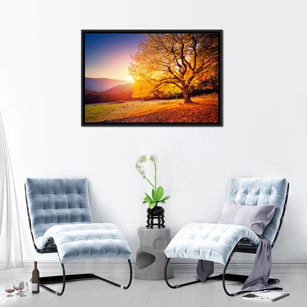 Beech Tree On A Hill Slope With Sunny Beams Canvas Wall Art-3 Horizontal-Gallery Wrap-25" x 16"-Tiaracle