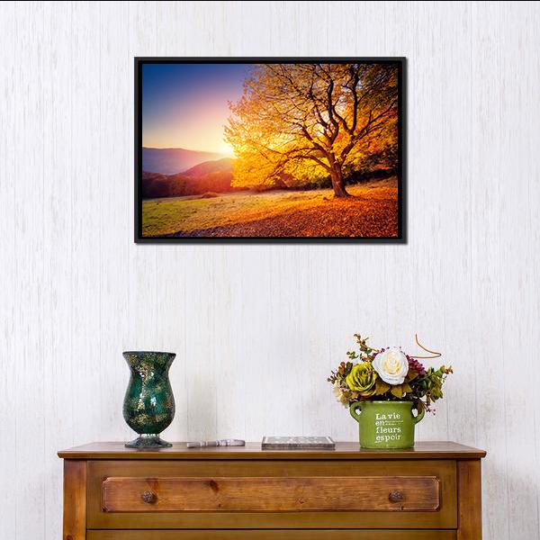 Beech Tree On A Hill Slope With Sunny Beams Canvas Wall Art-1 Piece-Floating Frame-24" x 16"-Tiaracle