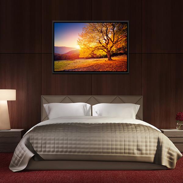 Beech Tree On A Hill Slope With Sunny Beams Canvas Wall Art-3 Horizontal-Gallery Wrap-25" x 16"-Tiaracle