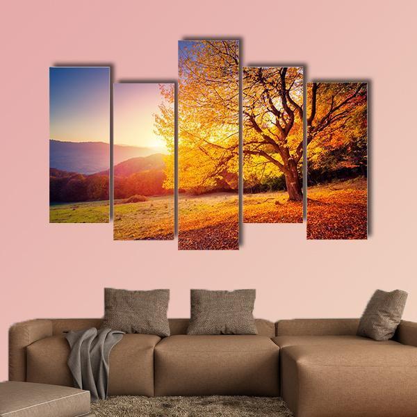 Beech Tree On A Hill Slope With Sunny Beams Canvas Wall Art-5 Pop-Gallery Wrap-47" x 32"-Tiaracle