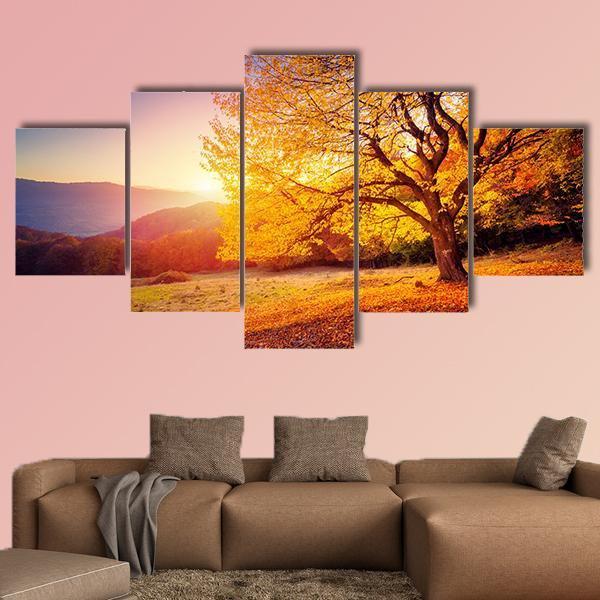 Beech Tree On A Hill Slope With Sunny Beams Canvas Wall Art-5 Star-Gallery Wrap-62" x 32"-Tiaracle