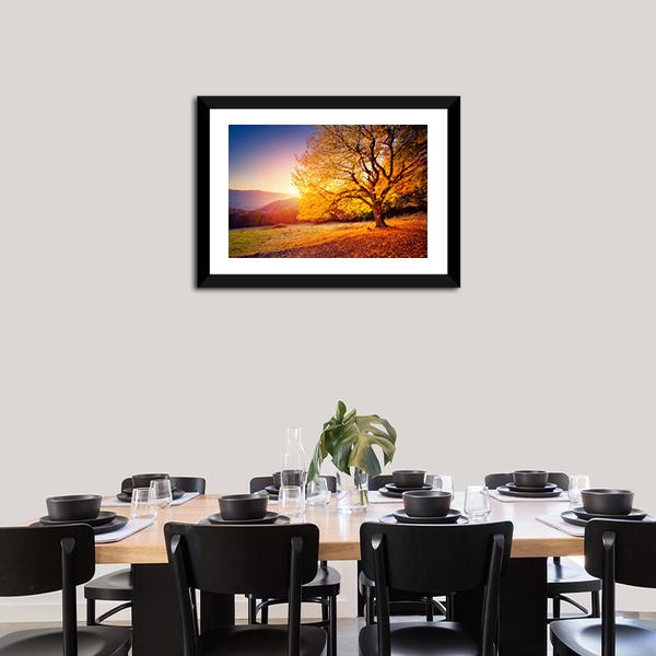 Beech Tree On A Hill Slope With Sunny Beams Canvas Wall Art-3 Horizontal-Gallery Wrap-25" x 16"-Tiaracle