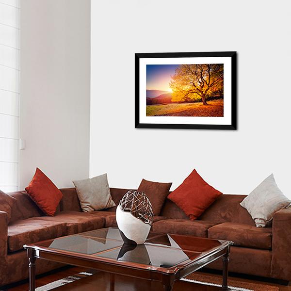 Beech Tree On A Hill Slope With Sunny Beams Canvas Wall Art-3 Horizontal-Gallery Wrap-25" x 16"-Tiaracle