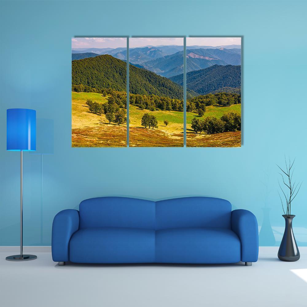 Beech Trees On Hill Canvas Wall Art-3 Horizontal-Gallery Wrap-37" x 24"-Tiaracle