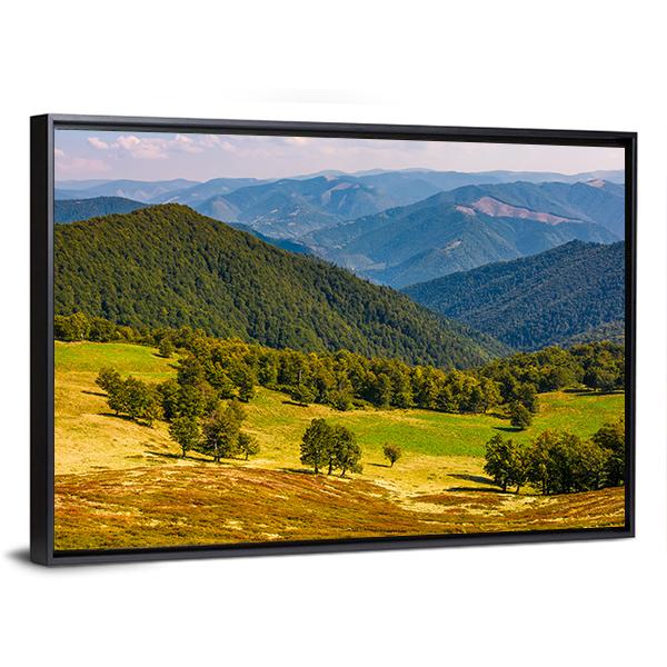 Beech Trees On Hill Canvas Wall Art-3 Horizontal-Gallery Wrap-25" x 16"-Tiaracle