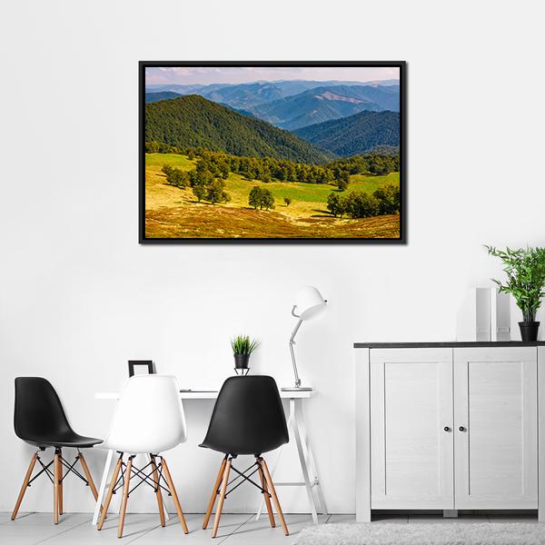Beech Trees On Hill Canvas Wall Art-3 Horizontal-Gallery Wrap-25" x 16"-Tiaracle
