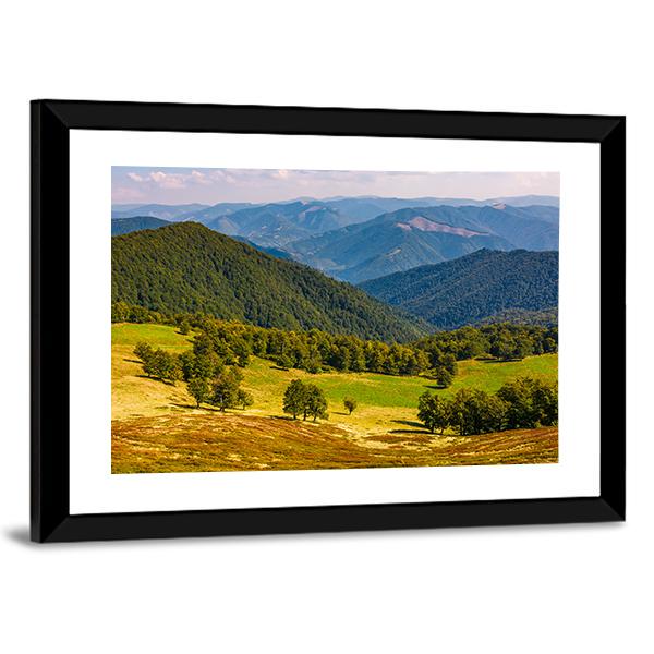 Beech Trees On Hill Canvas Wall Art-3 Horizontal-Gallery Wrap-25" x 16"-Tiaracle
