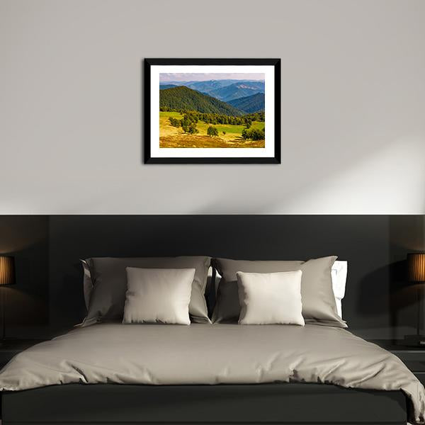 Beech Trees On Hill Canvas Wall Art-3 Horizontal-Gallery Wrap-25" x 16"-Tiaracle