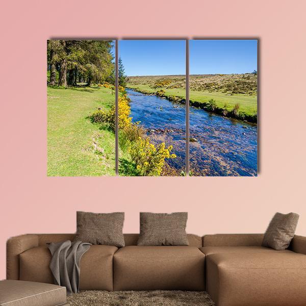 Bellever Forest &amp; Dart River Canvas Wall Art-3 Horizontal-Gallery Wrap-37" x 24"-Tiaracle