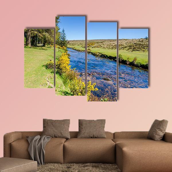 Bellever Forest & Dart River Canvas Wall Art-4 Pop-Gallery Wrap-50" x 32"-Tiaracle