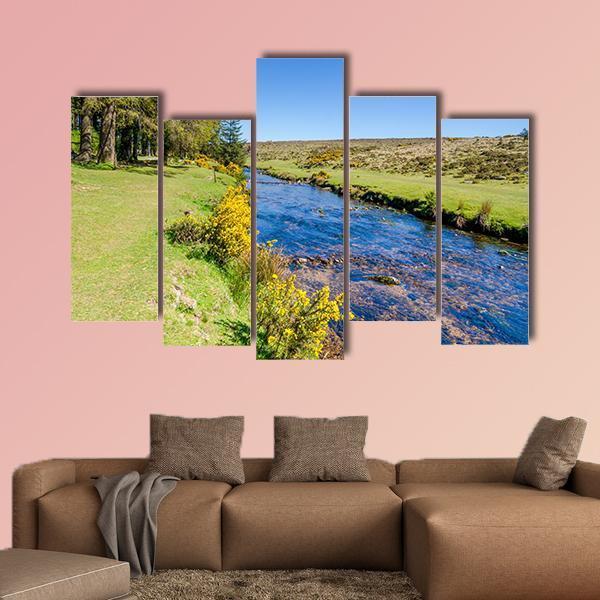 Bellever Forest & Dart River Canvas Wall Art-5 Pop-Gallery Wrap-47" x 32"-Tiaracle