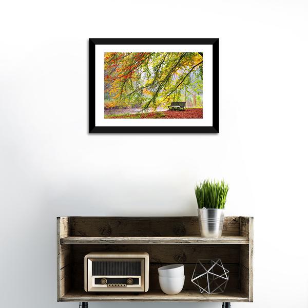 Bench Under Autumn Tree Canvas Wall Art-1 Piece-Framed Print-20" x 16"-Tiaracle