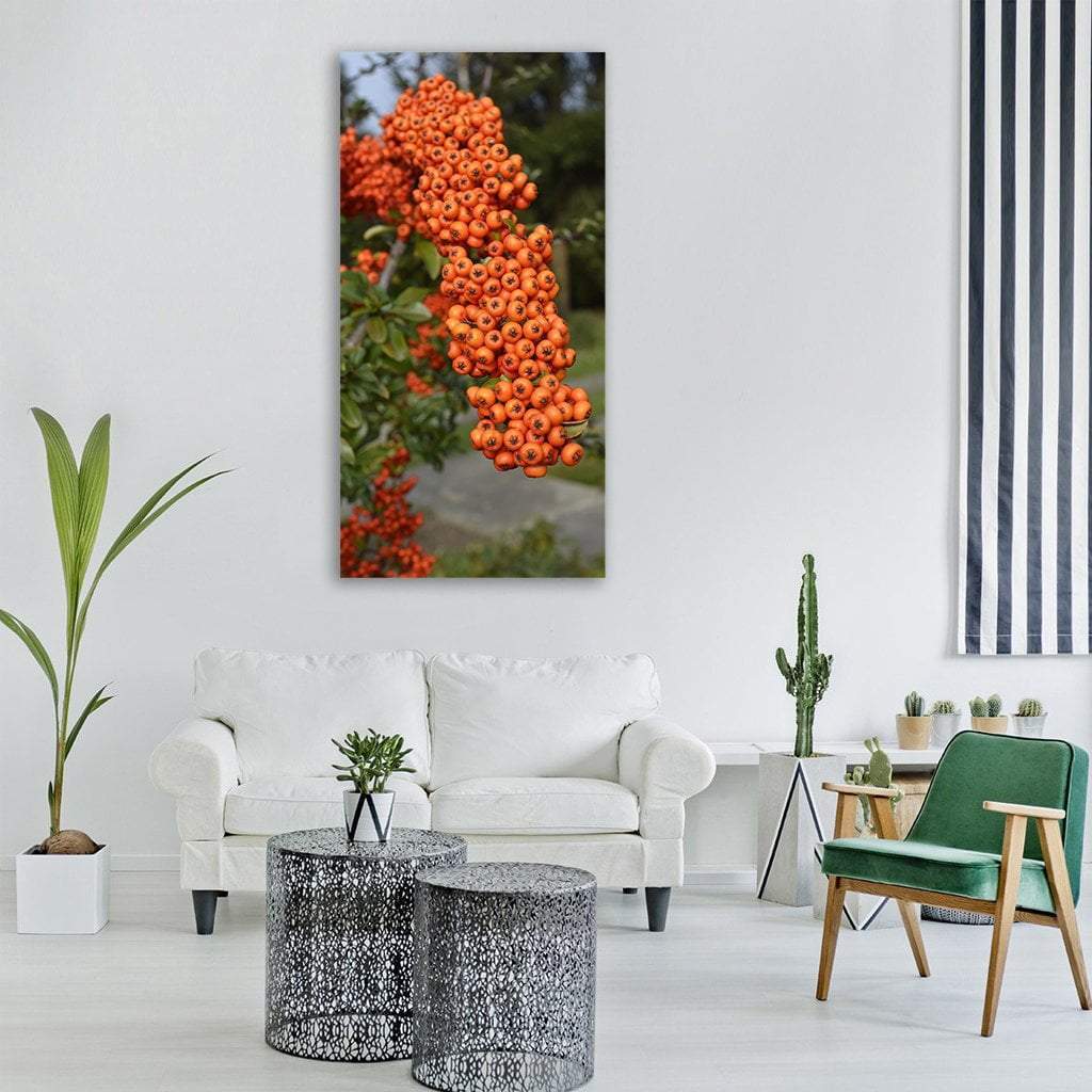 Berries Fruit Vertical Canvas Wall Art-1 Vertical-Gallery Wrap-12" x 24"-Tiaracle