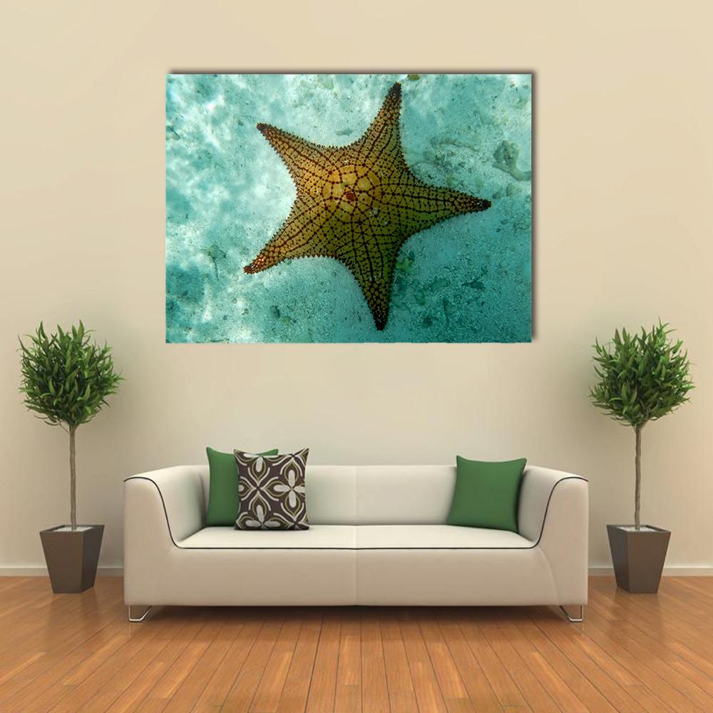 Big Starfish Canvas Wall Art-1 Piece-Gallery Wrap-36" x 24"-Tiaracle