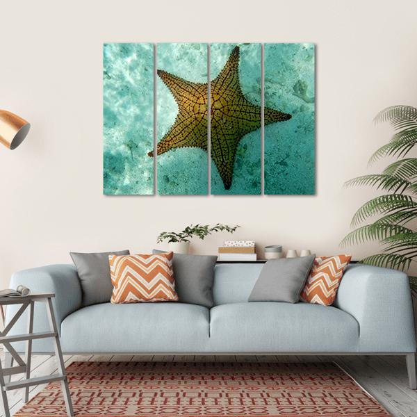 Big Starfish Canvas Wall Art-4 Horizontal-Gallery Wrap-34" x 24"-Tiaracle