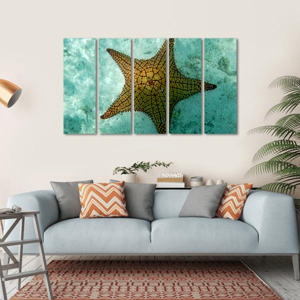 Big Starfish Canvas Wall Art-5 Horizontal-Gallery Wrap-22" x 12"-Tiaracle