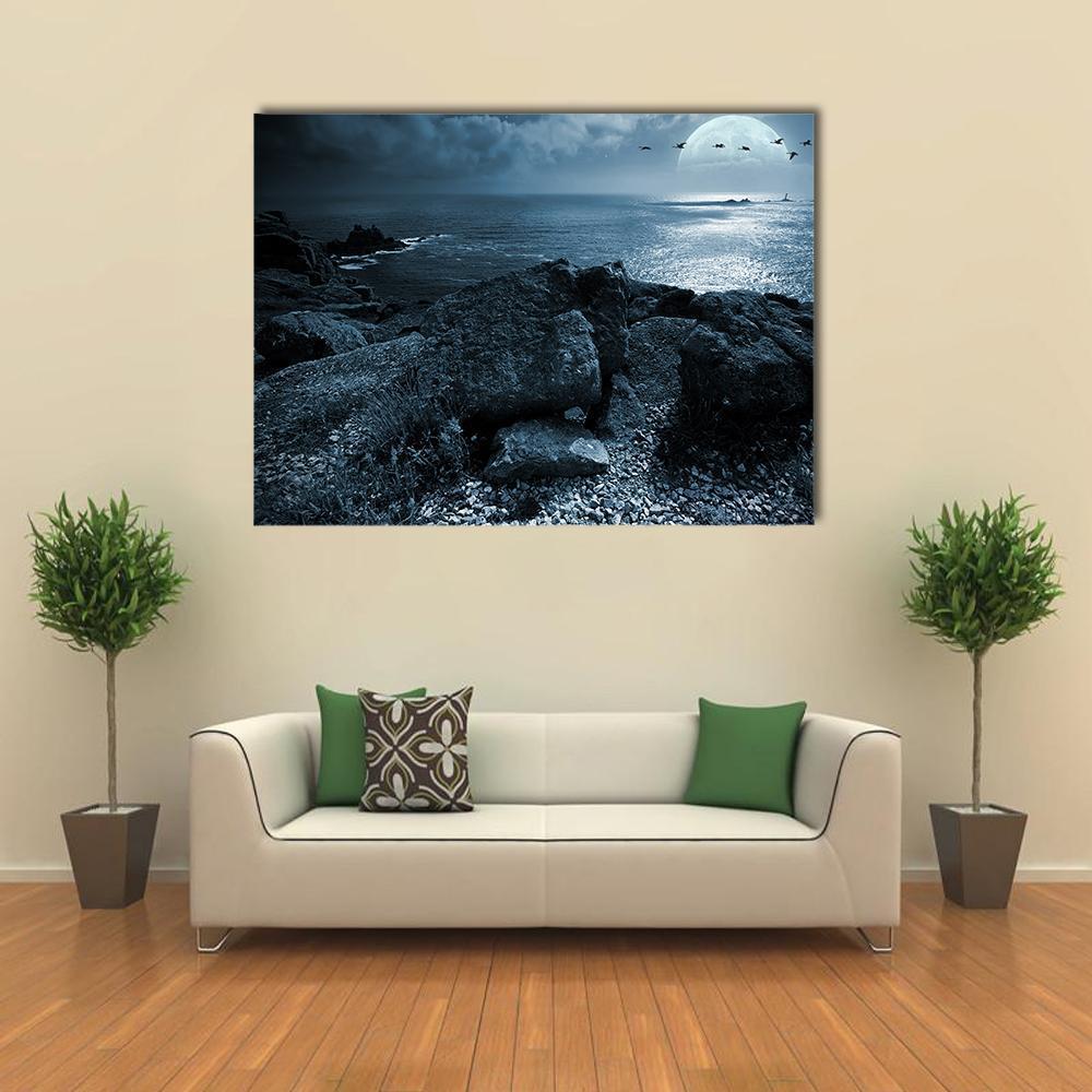 Moonlit Birds Over Rocky Coast Canvas Wall Art in black, gray and blue, single panel hung on a wall