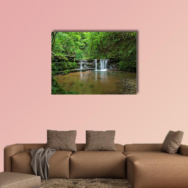 Black Forest Waterfall, Germany Canvas Wall Art in brown and green, single panel hung on a wall