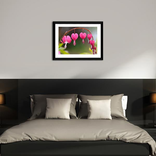 Bleeding Heart Flowers Canvas Wall Art-5 Horizontal-Gallery Wrap-22" x 12"-Tiaracle