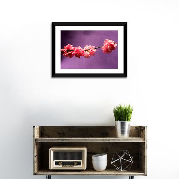 Bloom Blossom Flowers Canvas Wall Art-1 Piece-Framed Print-20" x 16"-Tiaracle