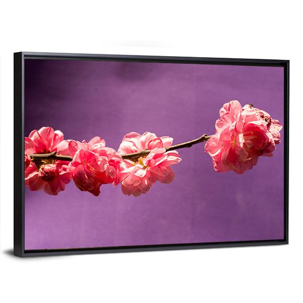 Bloom Blossom Flowers Canvas Wall Art-5 Horizontal-Gallery Wrap-22" x 12"-Tiaracle
